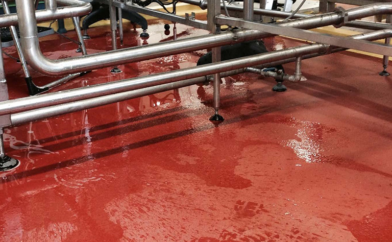 Epoxy Floors