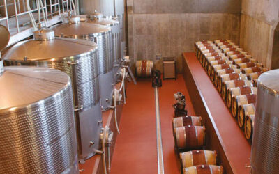 Diamond grind, winery floor Renovating Industrial Floors: Unleashing the Power of Polyurethane Cement