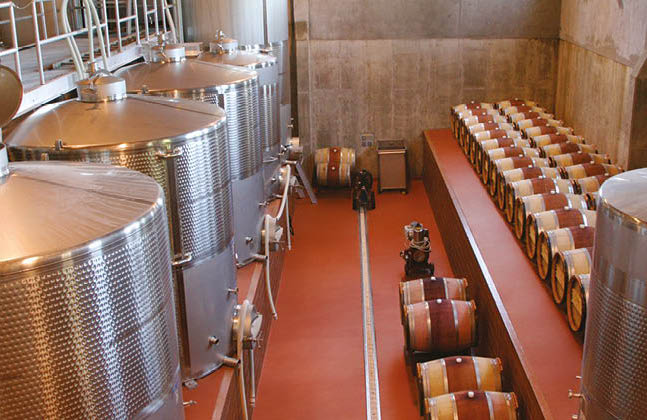 winery floor