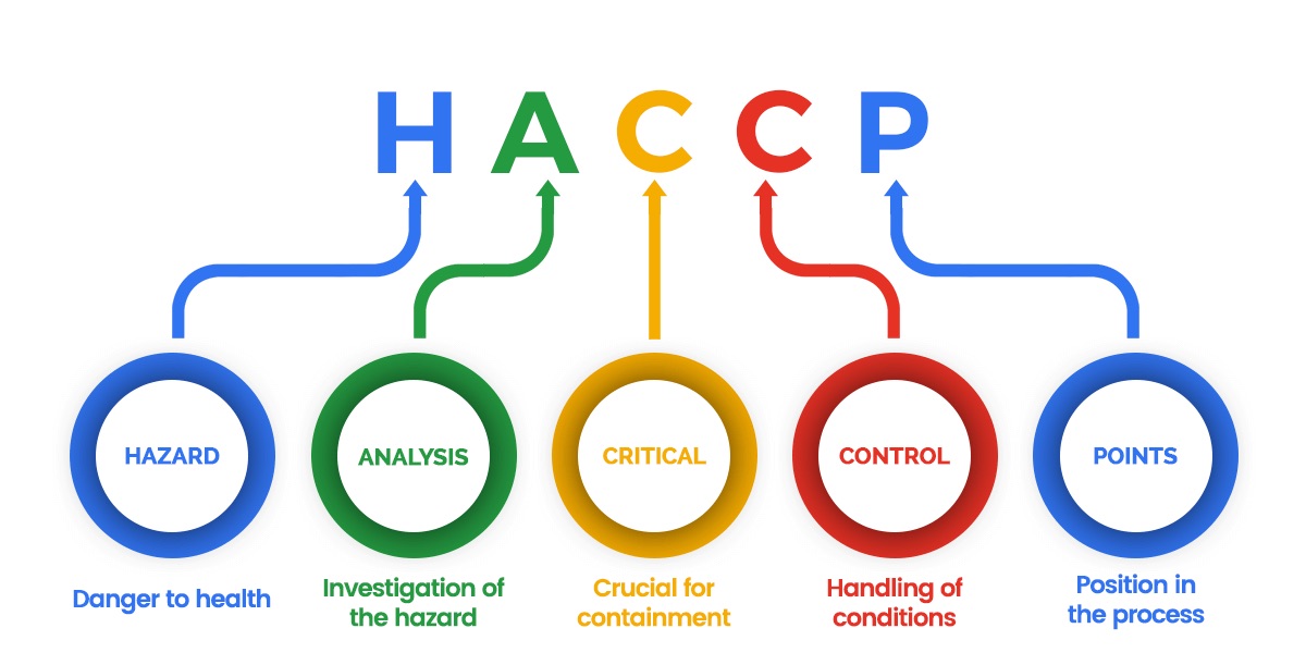 Explanation of HACCP compliant flooring principles including seamless finishes, antimicrobial surfaces, and coving requirements.